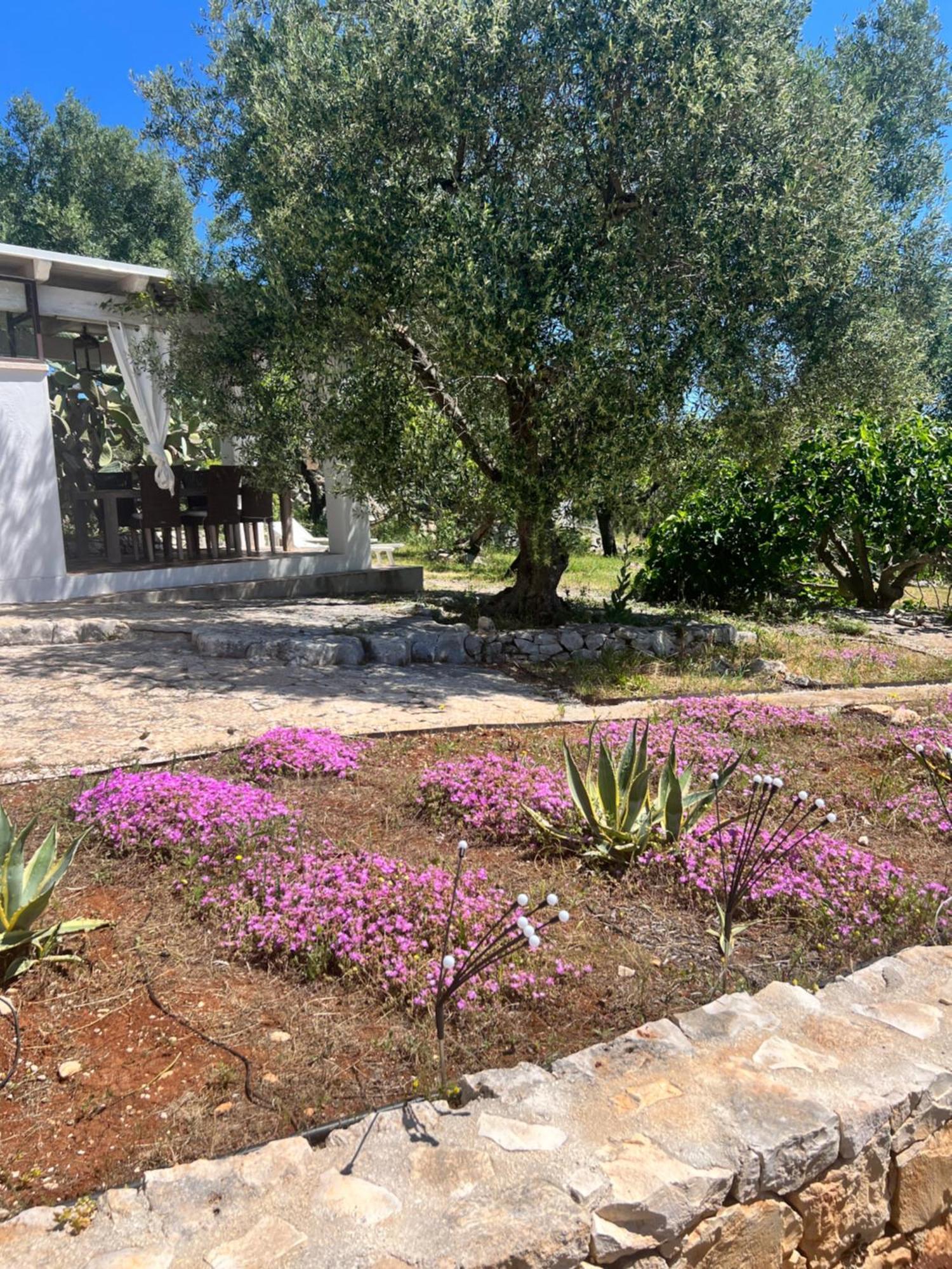 Hotel Syconium Trullo And Lamia Gea Charme And History Ostuni Exteriér fotografie